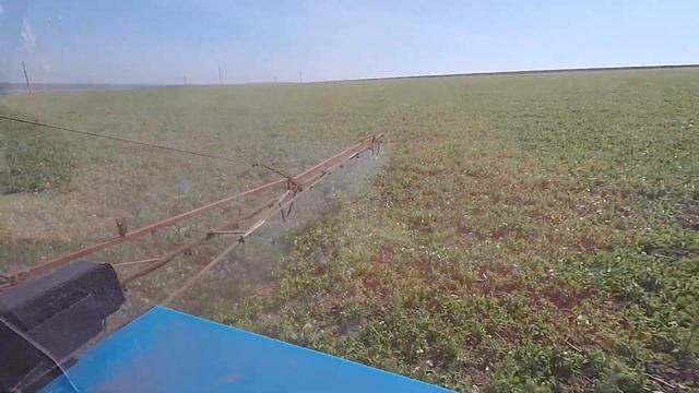 Внесение удобрений и инсектецыда на озимый горох "НС МОРОЗ"