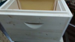 Улей "Удав''"