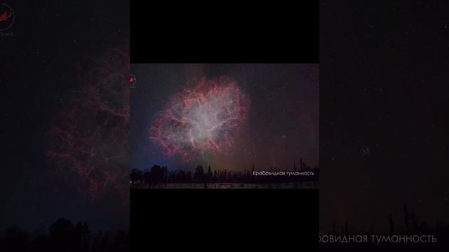 Вот как примерно должно выглядить наше небо, если Крабовидная туманность была очень близко к нам. смотреть онлайн