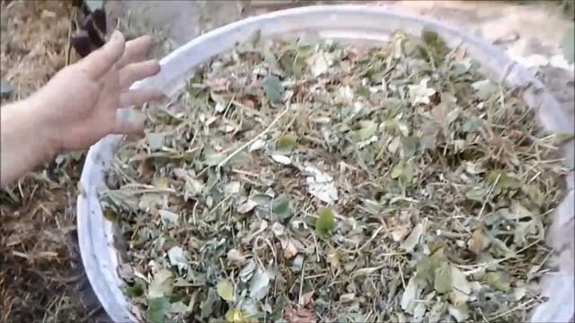 Приготовление горячейферментированной мульчи пошагово и бонуссекретный ингредиент+танец бегемота смотреть онлайн