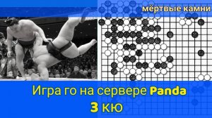 Игра го (вейци, бадук) - 3 кю - Много мёртвых камней. (19 мар. 2023 г.)