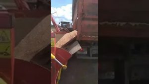Перегрузка зерна в полимерные рукава. Цепочкой - Камаз, БНП-12 "Ковчег", GS-200. Без потерь!