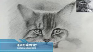 Рисовать просто.  Рисуем кошку карандашом. Часть 2
