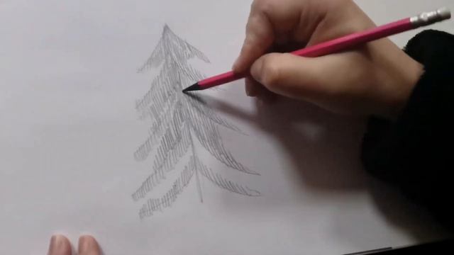 Как нарисовать ель карандашом смотреть онлайн