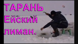 ТАРАНЬ. Рыбалка. Ловля тарани на Ейском лимане, Подлёдный лов. Насадка- манка подкрашенная. Fishing