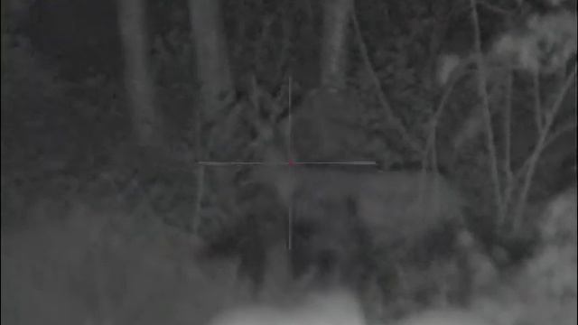 pulsar n 355 -4 смотреть онлайн