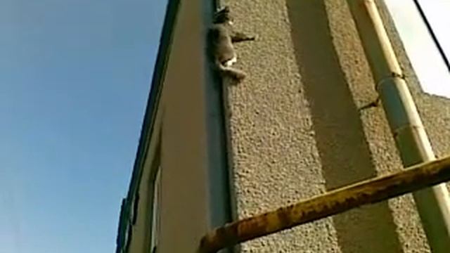 Стенолаз...