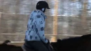 Активность: учимся ездить рысью на коне