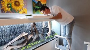 Запуск аквариума на 750 литров. Аквариум 250×60×50 с нуля своими руками. Часть 17.