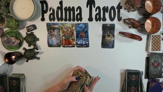 THE ROAD IS OPEN NOVEMBER 5TH Daily Tarot Reading смотреть онлайн