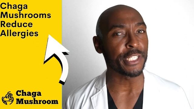 What Is The Powerful Chaga Mushroom And Why You Should Care? смотреть онлайн