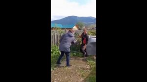 Большая подборка прикольных видосиков