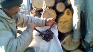 кедровые орехи.ручная машина .лущение.практическое применение.