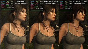 Tomb Raider (2013) Linux Native vs Proton
