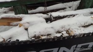 Сломался зуб цепи бензопилы, электропилы. Пилить или не пилить? Решаем проблему быстро и просто