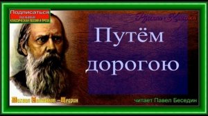Путём дорогою , Михаил Салтыков Щедрин, Русская Проза, читает Павел Беседин