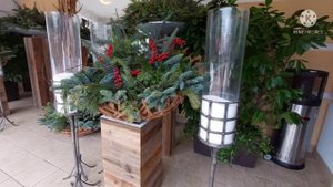 куда сходить в Сочи зимой