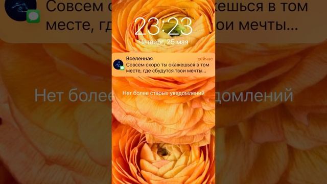 Вам сообщение