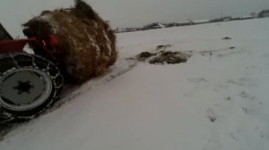 Перевозка рулонов с огорода с помощью трактора т-25.