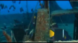 Земля Жизнь без людей