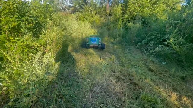 Расчистка участка от зарослей под застройку, в Детляжке. 30 соток #ВкалываютРоботы