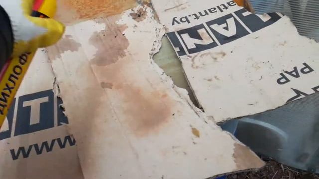 Биогумус от червя старатель/Весна 2020г/Борьба с муравьями смотреть онлайн