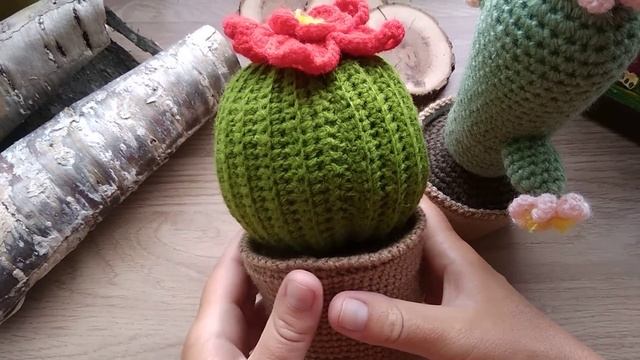 Готовые работы моей мамы❤️кактусы, лягушки, пупсы, зайцы. смотреть онлайн