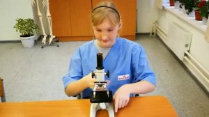 4 3  Видеоролик  ПЗ №3  Лабораторная работа Строение растительной клетки  Козырева А Ю