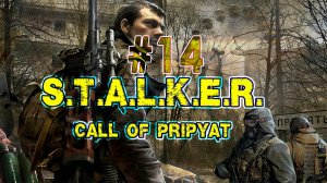 Сталкер: Зов Припяти. Продолжение компании в S.T.A.L.K.E.R: Call of Pripyat. 14 стрим. Конец пути