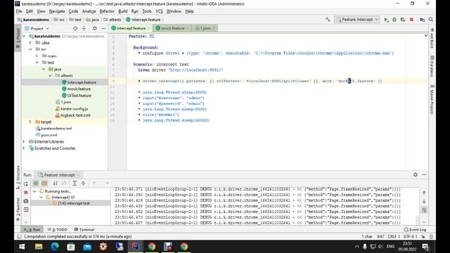 Karate UI. Перехват HTTP-запросов. Intercepting HTTP Requests