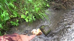 ЗОЛОТОНОСНЫЙ РУЧЕЙ! НАШЕЛ ЗОЛОТО В ВЕРХОВЬЯХ!