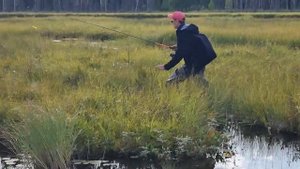 Поездка в Карелию август 23. Водлозеро.