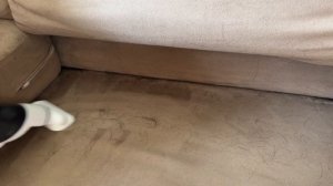 Tineco Pure One S4 Mini handheld vacuum Review: can something this tiny actually do a good job?