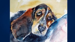 Бассет хаунд (Basset Hound)