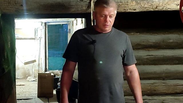 Какая посадка птицы на один квадратный метр курятника Отвечаю на вопрос подписчика смотреть онлайн