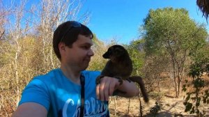 Путешествие на Мадагаскар 2019