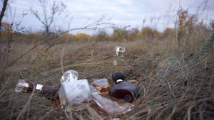 Мой осенний Avon 🍂 Часть 2: TTA Absolute, Tomorrow, Celebrate, Far Away Glamour и Gold, Imari