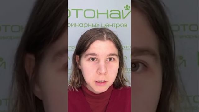 Как помочь в экстренной ситуации? первые шаги