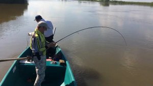 Рыбалка в Астрахани. Сом на нижней Волге