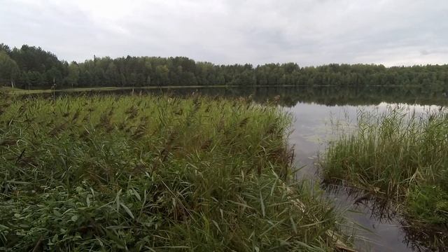 04.прогулка к озеру Светлояр