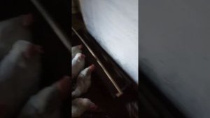 Можно ли держать козу и кур вместе.
