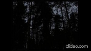П. Чайковский Симфония №6 В. Фуртвенглер