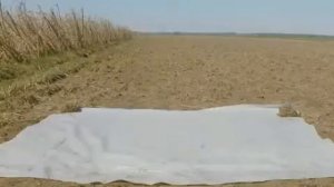 Петля времени 2012