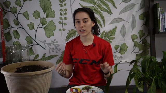 Repot with Me! | Syngonium and Peace Lily смотреть онлайн