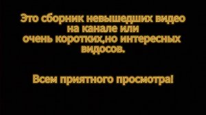 Сборник невышедших видео. #неизданное #подпишись #рекомендации #невышедшее #сборник