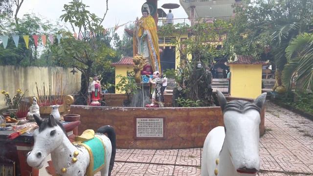 越南华人坚持传统 观音诞和11郡华人一起去隆庆观音庙去祭拜 смотреть онлайн