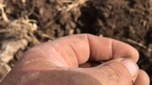 Коп с металлодетектором, советские монеты никто не отменял смотреть онлайн