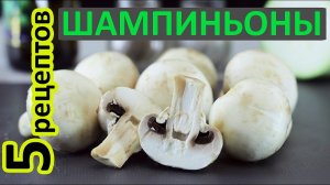 Для любителей шампиньонов - 5 Крутых рецептов. Рецепты с шампиньонами.