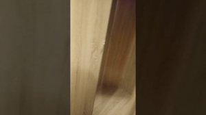 шкаф ЛИОН .