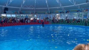 Минский Дельфинарий - Динопарк - Зоопарк